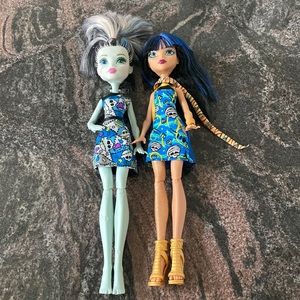 Monster High - Frankie and Chloe dolls